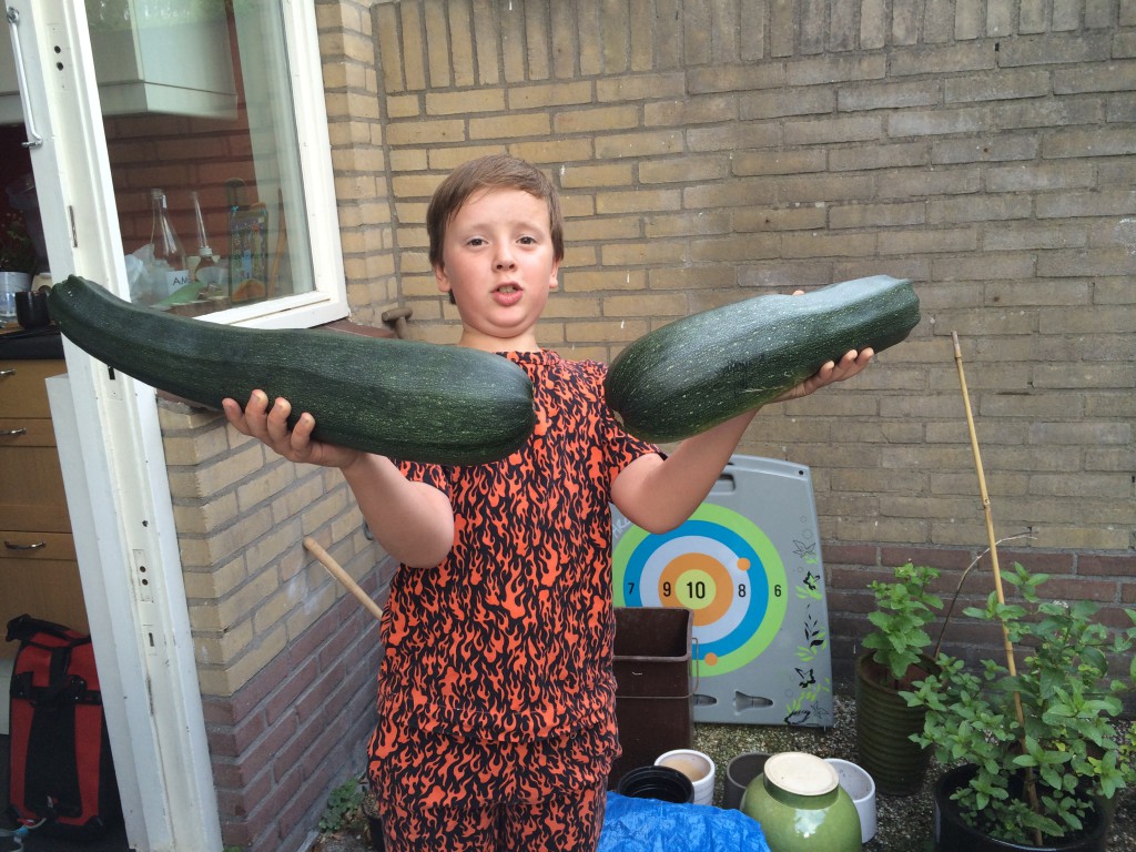 Courgettes!