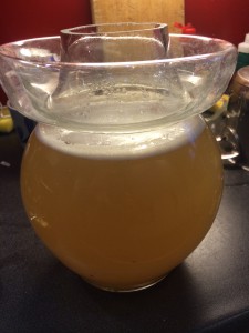 Natuurlijk fermenterende gemberdrank - prikkelende ginger ale!